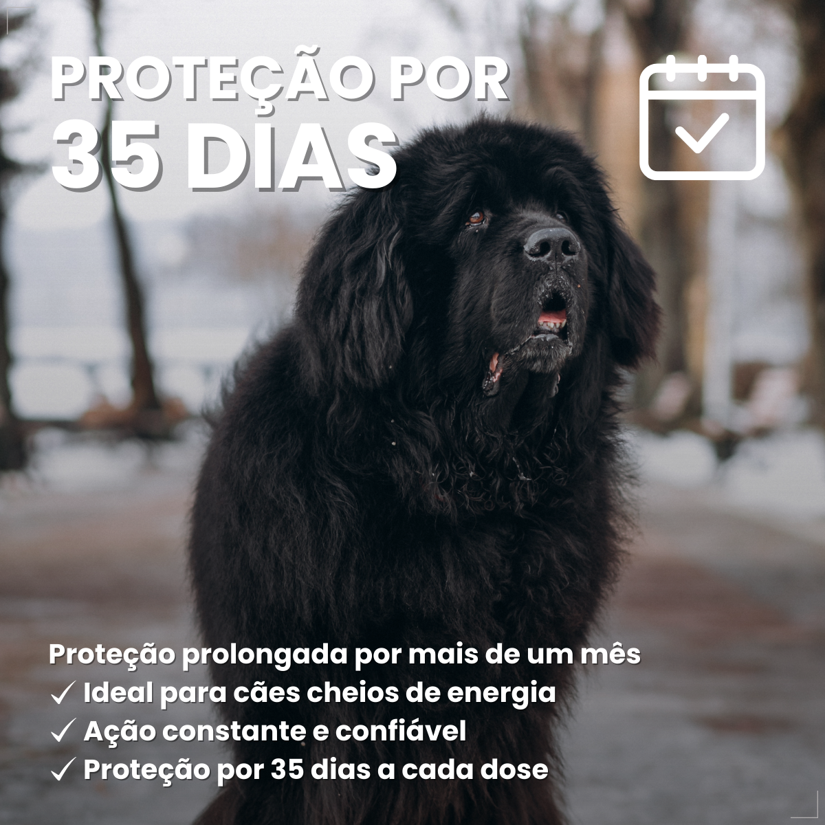 Simparic 120mg 1 Comprimido Cães 40,1 - 60kg Zoetis