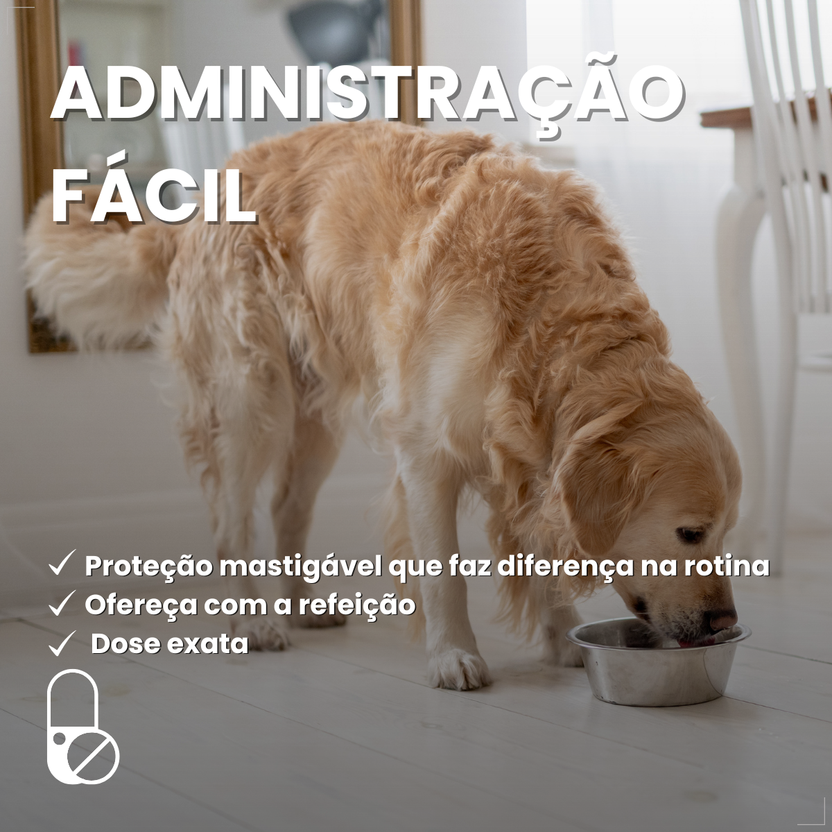 Simparic 120mg 1 Comprimido Cães 40,1 - 60kg Zoetis