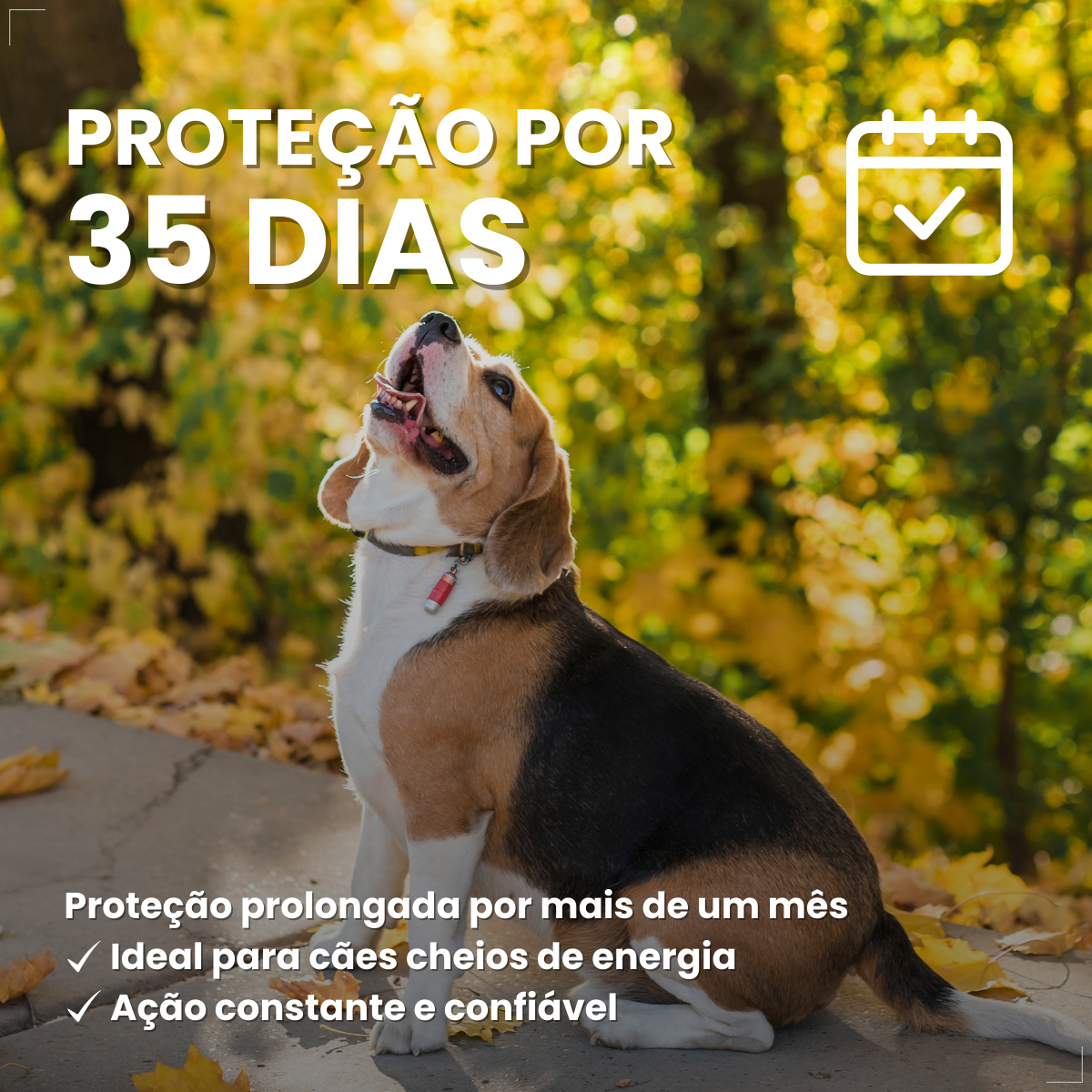 Antipulgas Zoetis Simparic 20mg Cães De 5,1kg A 10kg 3 Comp