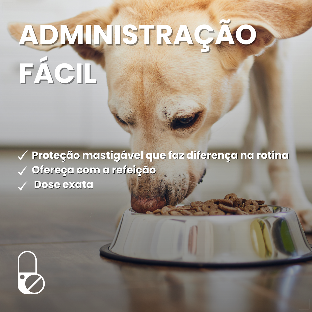 Antipulgas Zoetis Simparic 20mg Cães De 5,1kg A 10kg 3 Comp