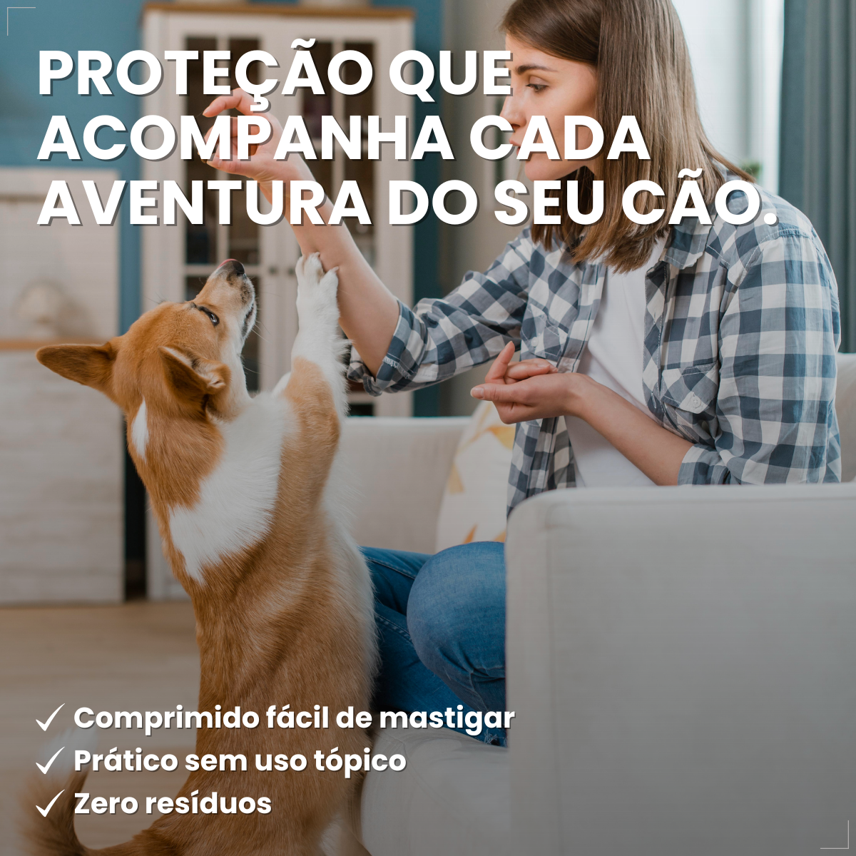 Antipulgas Zoetis Simparic 20mg Cães De 5,1kg A 10kg 3 Comp