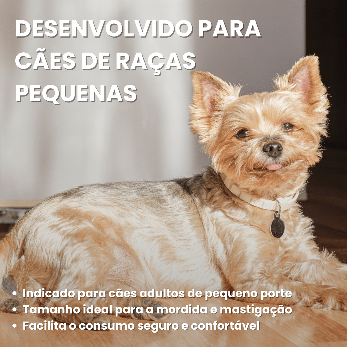 Biscoito Pedigree Biscrok Cães Adultos Raças Pequenas 1kg