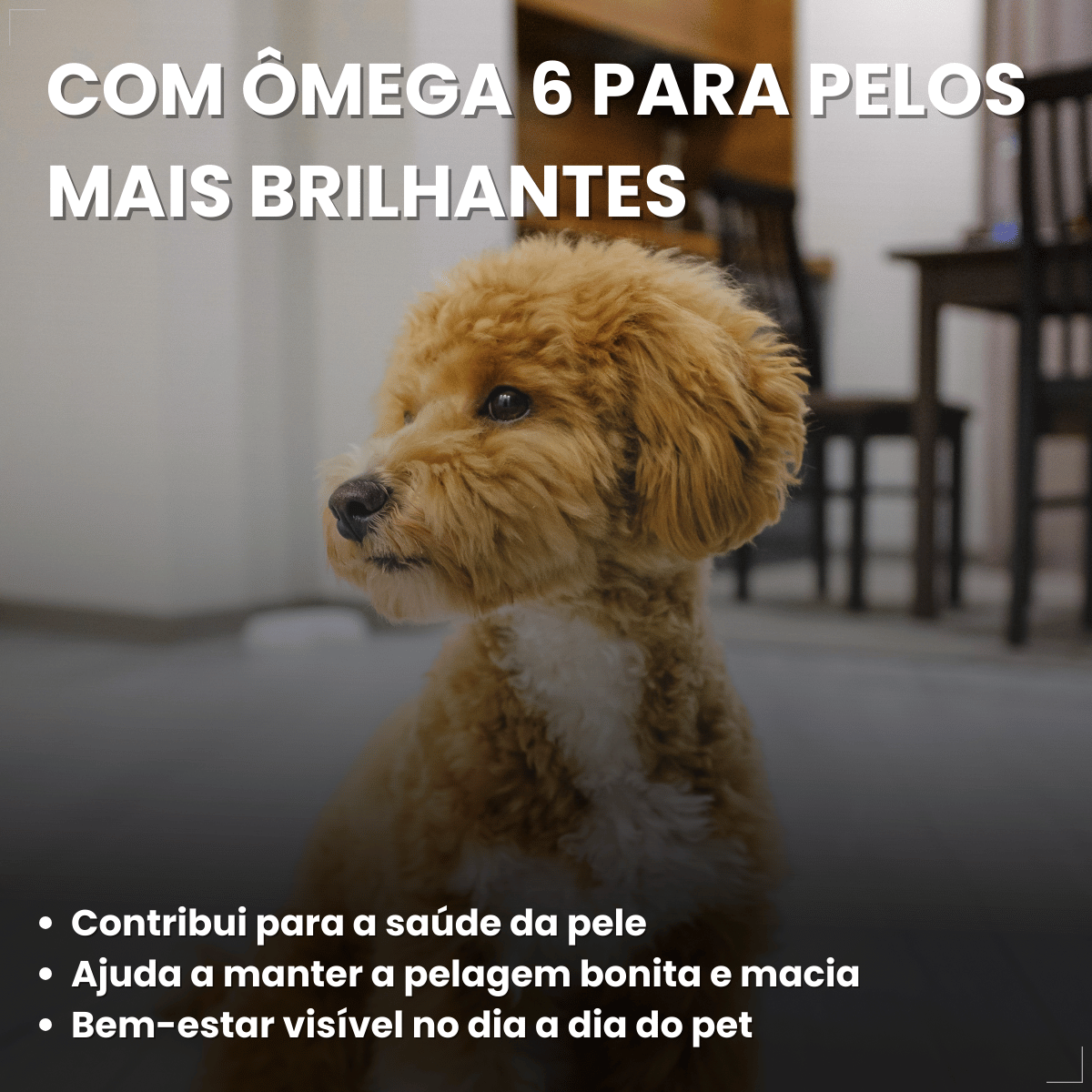 Biscoito Pedigree Biscrok Cães Adultos Raças Pequenas 1kg