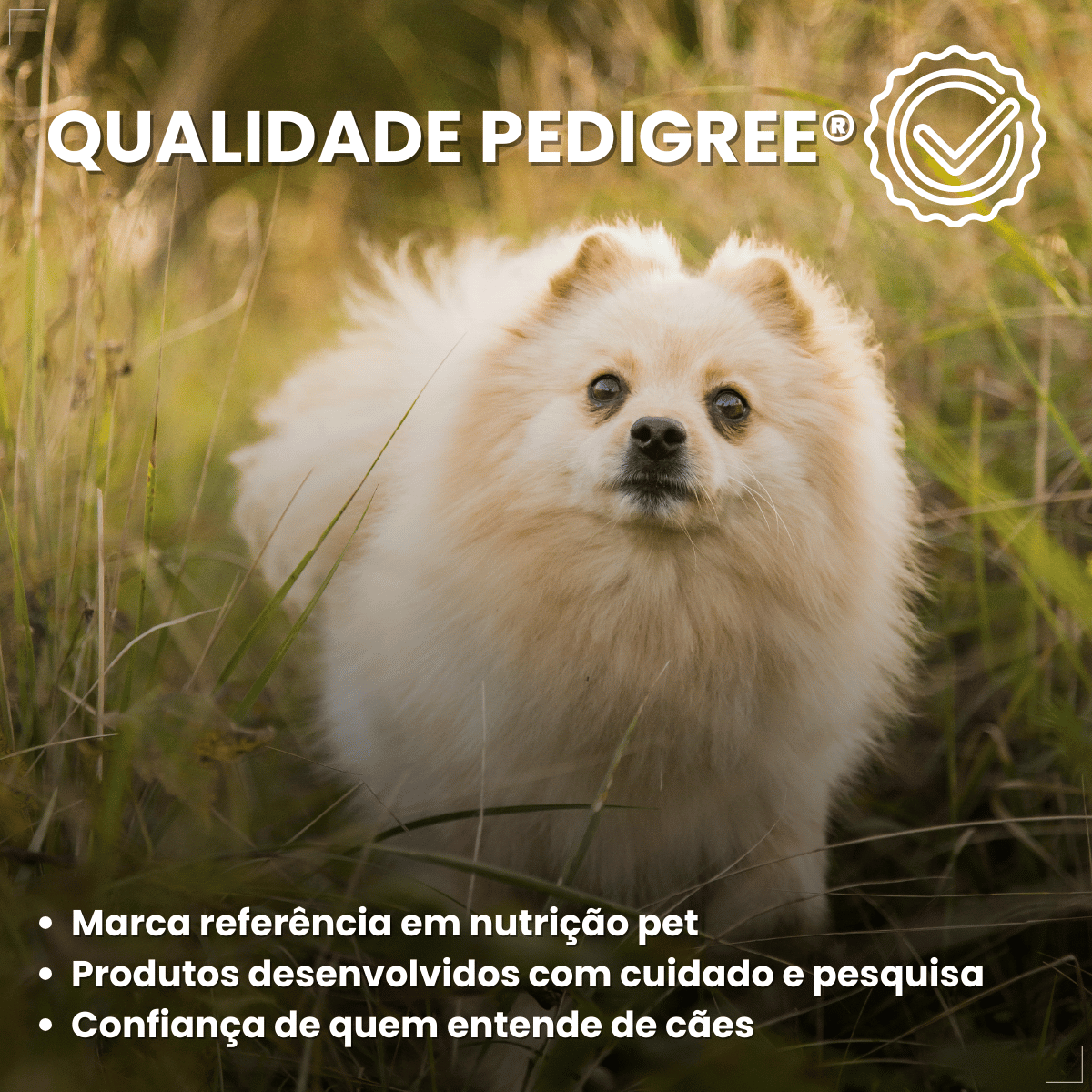 Biscoito Pedigree Biscrok Cães Adultos Raças Pequenas 1kg