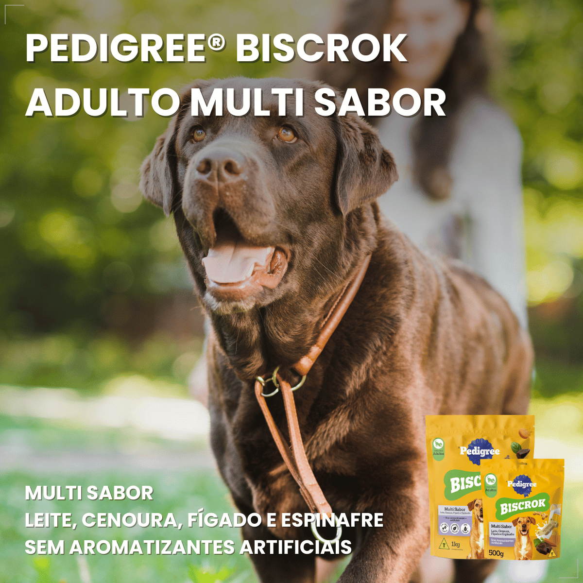 Biscoito Pedigree Biscrok Cães Adultos Multi Sabor 500kg