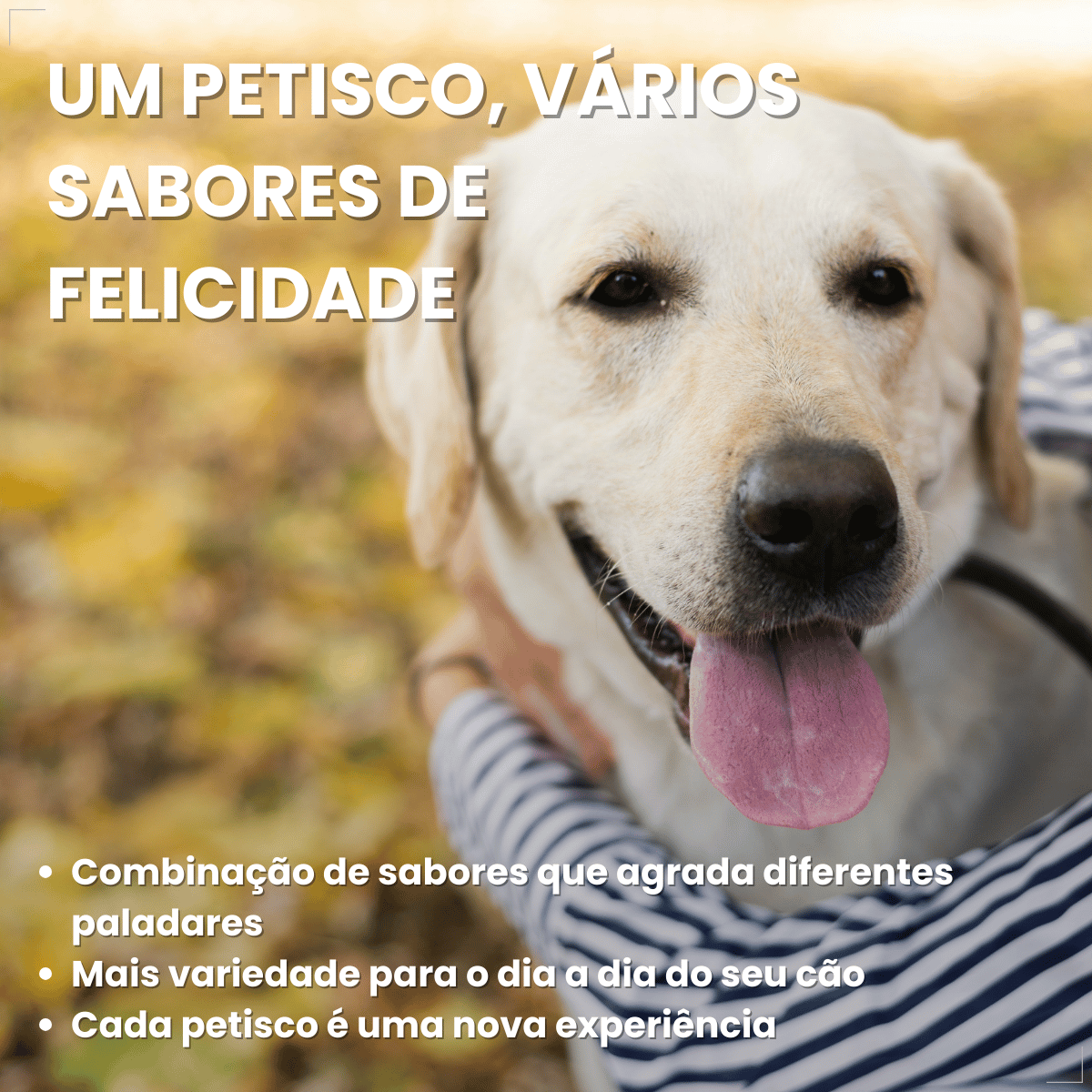 Biscoito Pedigree Biscrok Cães Adultos Multi Sabor 500kg
