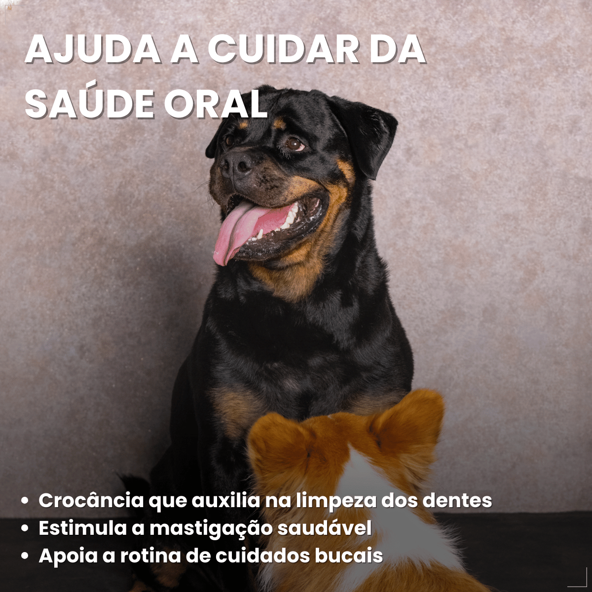 Biscoito Pedigree Biscrok Cães Adultos Multi Sabor 500kg