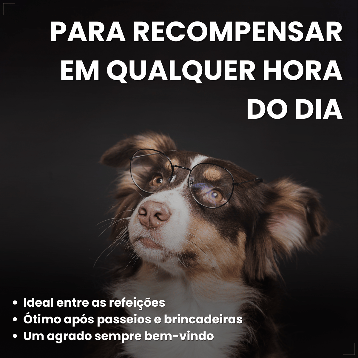 Biscoito Pedigree Biscrok Cães Adultos Multi Sabor 500kg