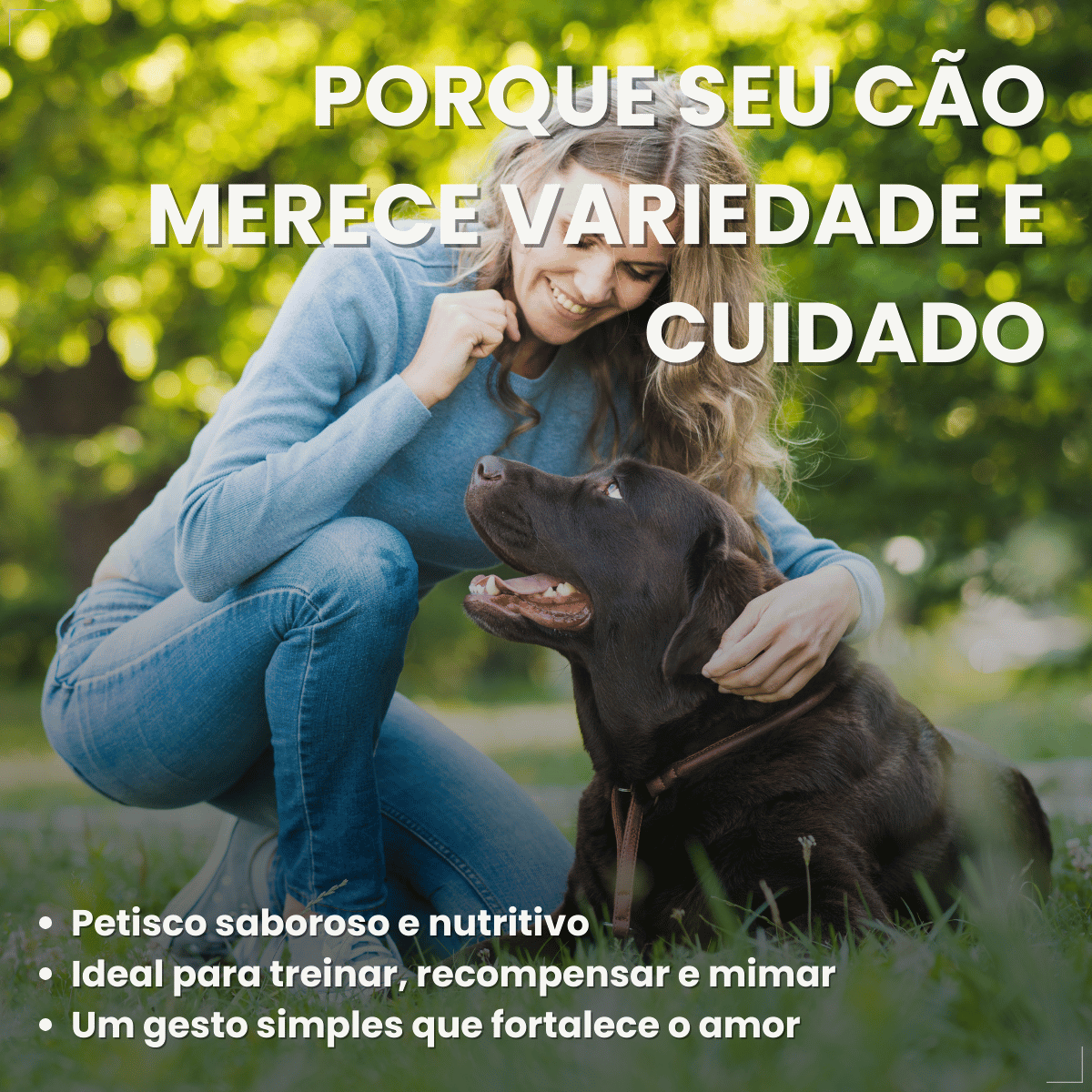 Biscoito Pedigree Biscrok Cães Adultos Multi Sabor 500kg