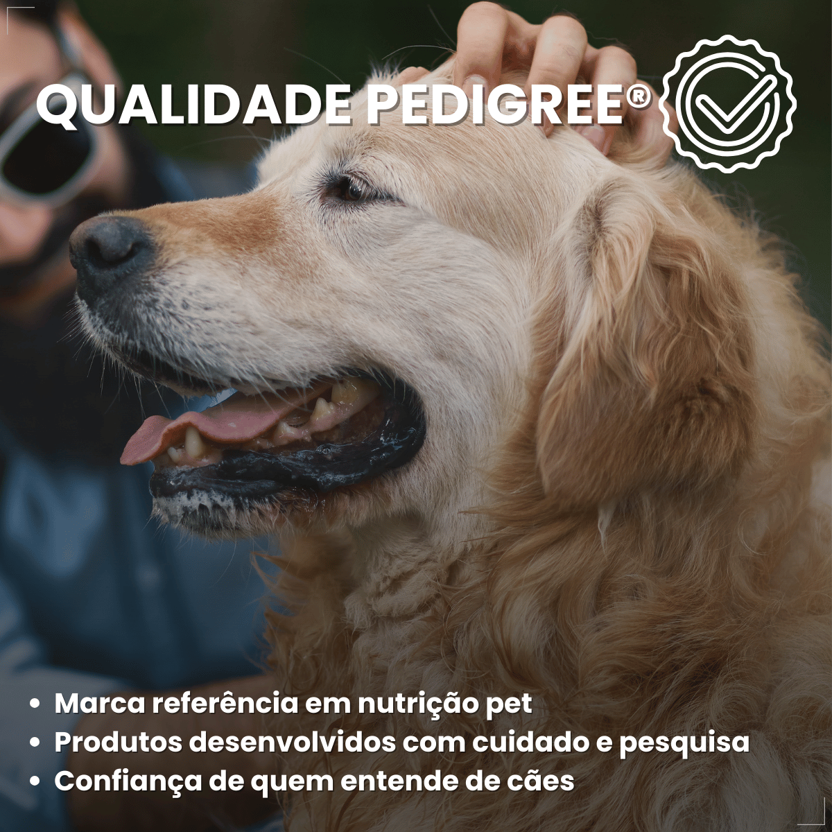 Biscoito Pedigree Biscrok Cães Adultos Multi Sabor 500kg