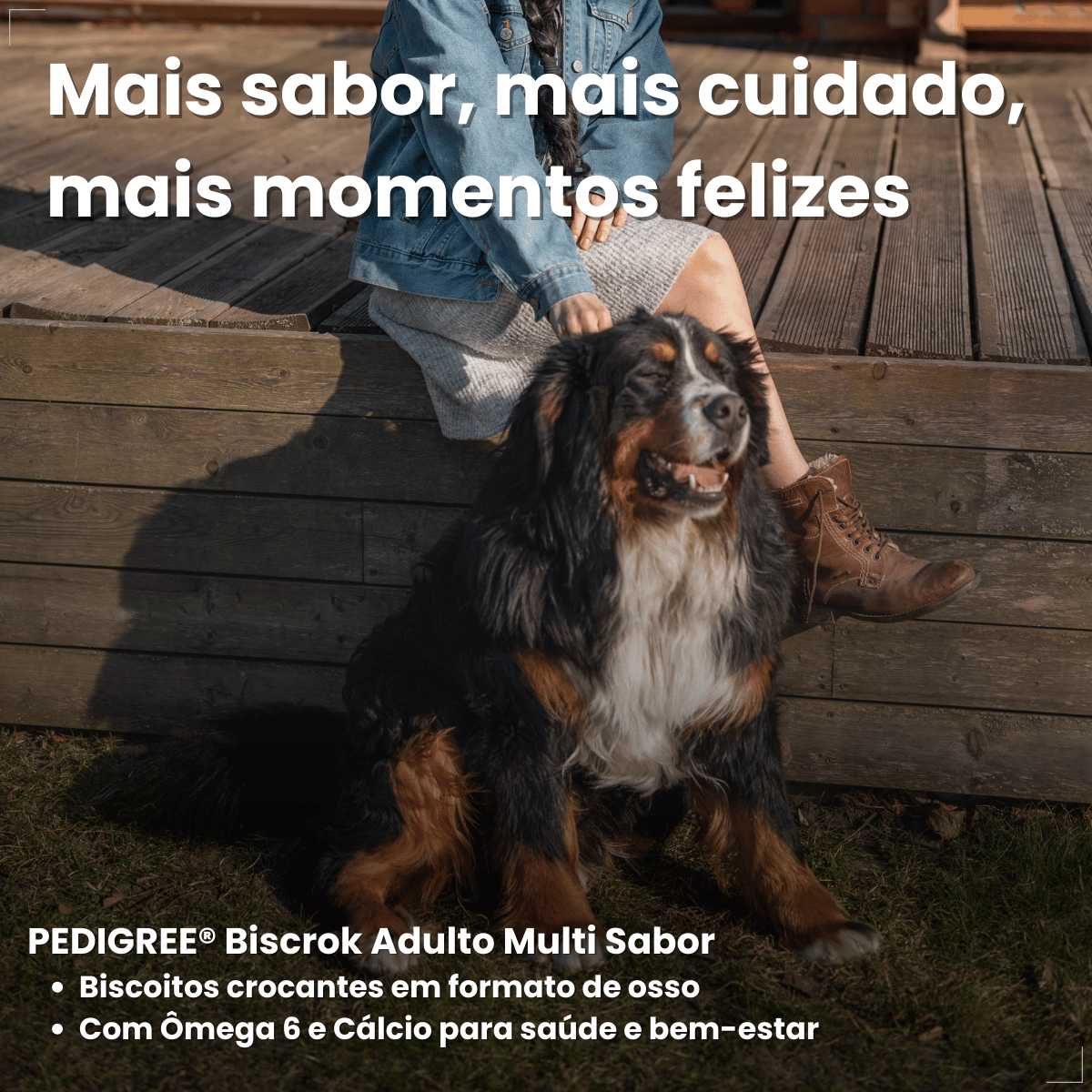 Biscoito Pedigree Biscrok Cães Adultos Multi Sabor 500kg