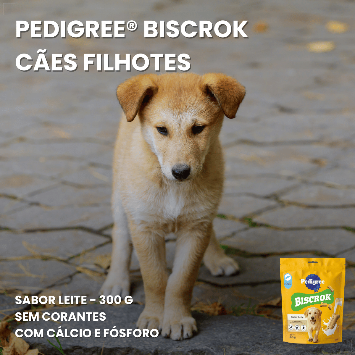 Biscoito Pedrigree Biscrok Cães Filhotes 300g