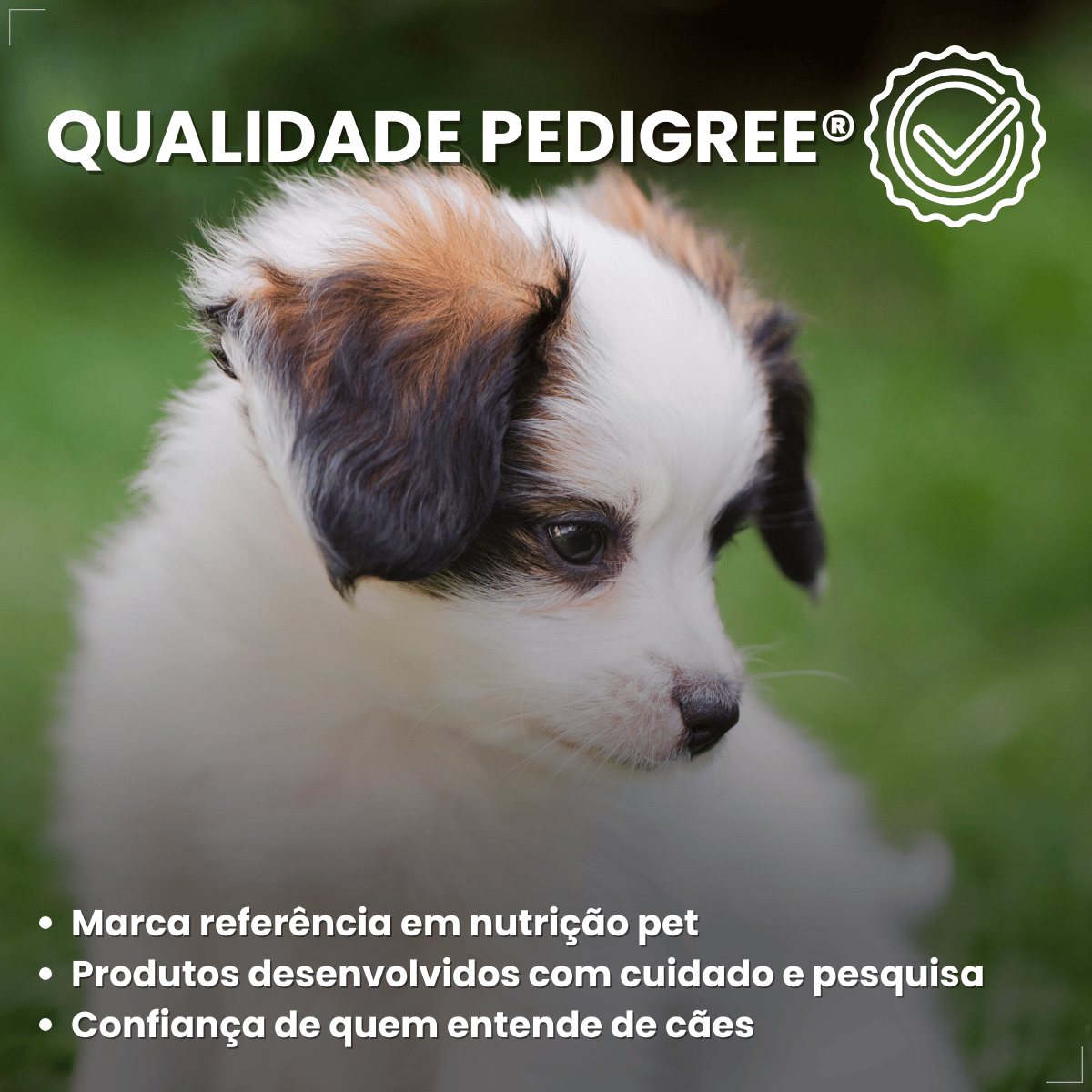 Biscoito Pedrigree Biscrok Cães Filhotes 300g