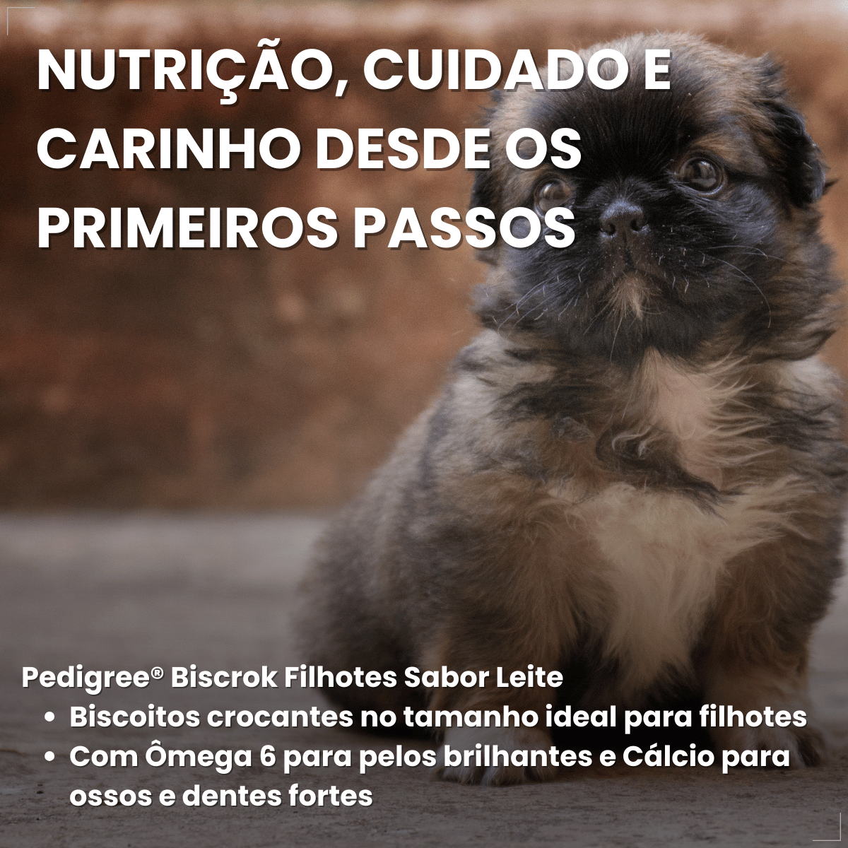Biscoito Pedrigree Biscrok Cães Filhotes 300g