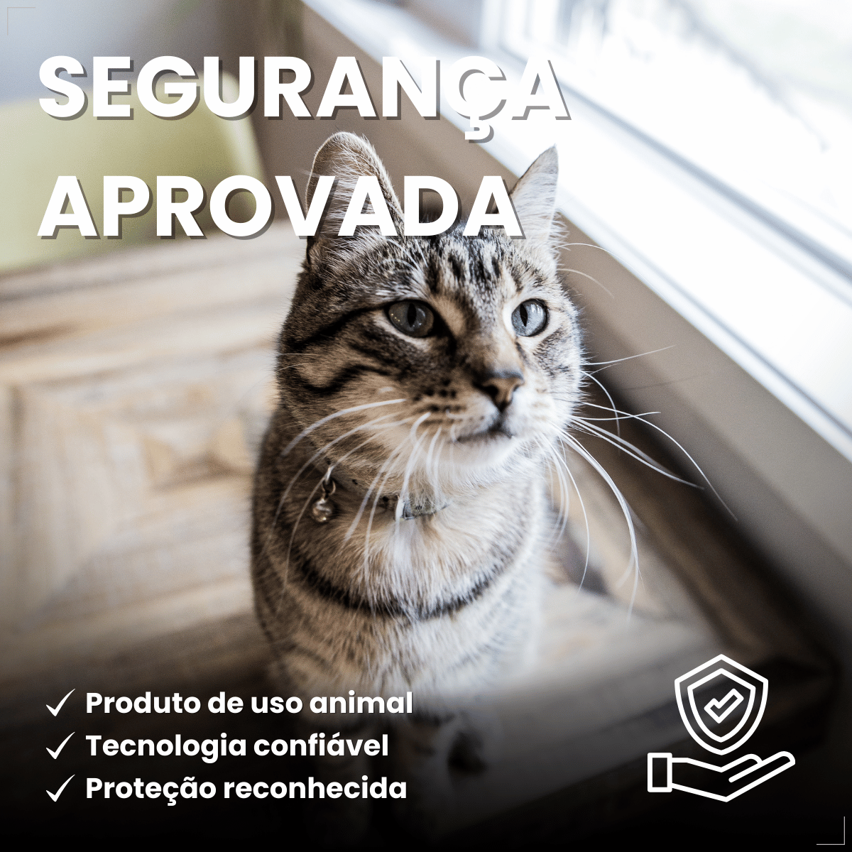 Antipulgas Bravecto Transdermal Gatos 1,2 a 2,8 kg 112,5 mg