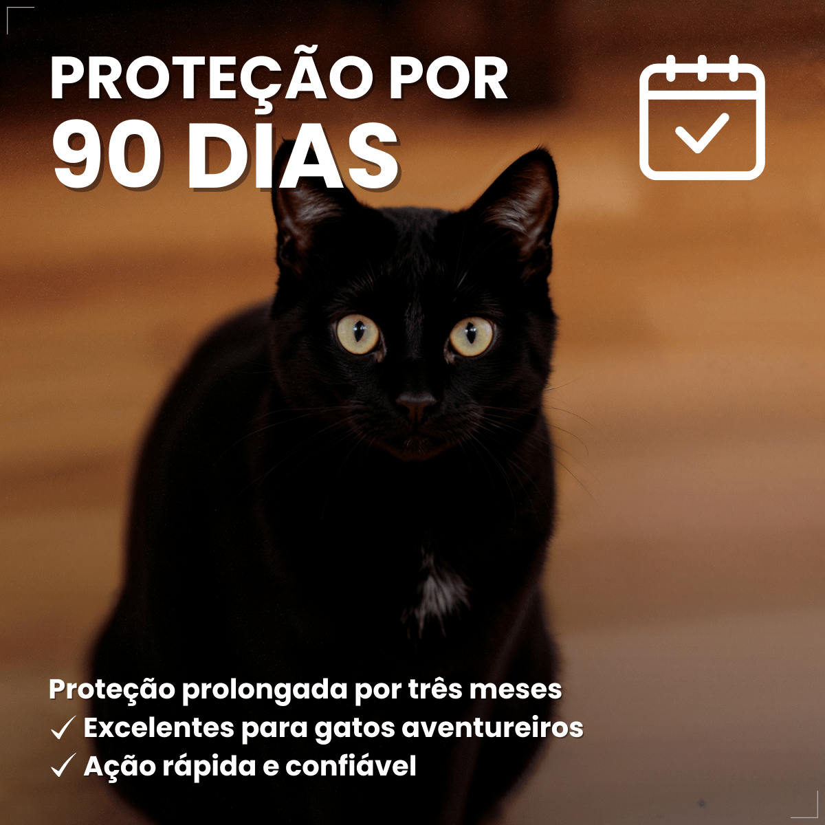 Antipulgas Bravecto Transdermal Gatos 6,25 a 12,5 kg 500 mg