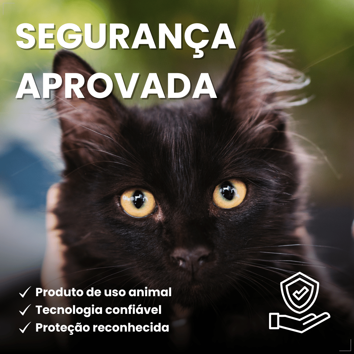 Antipulgas Bravecto Transdermal Gatos 6,25 a 12,5 kg 500 mg