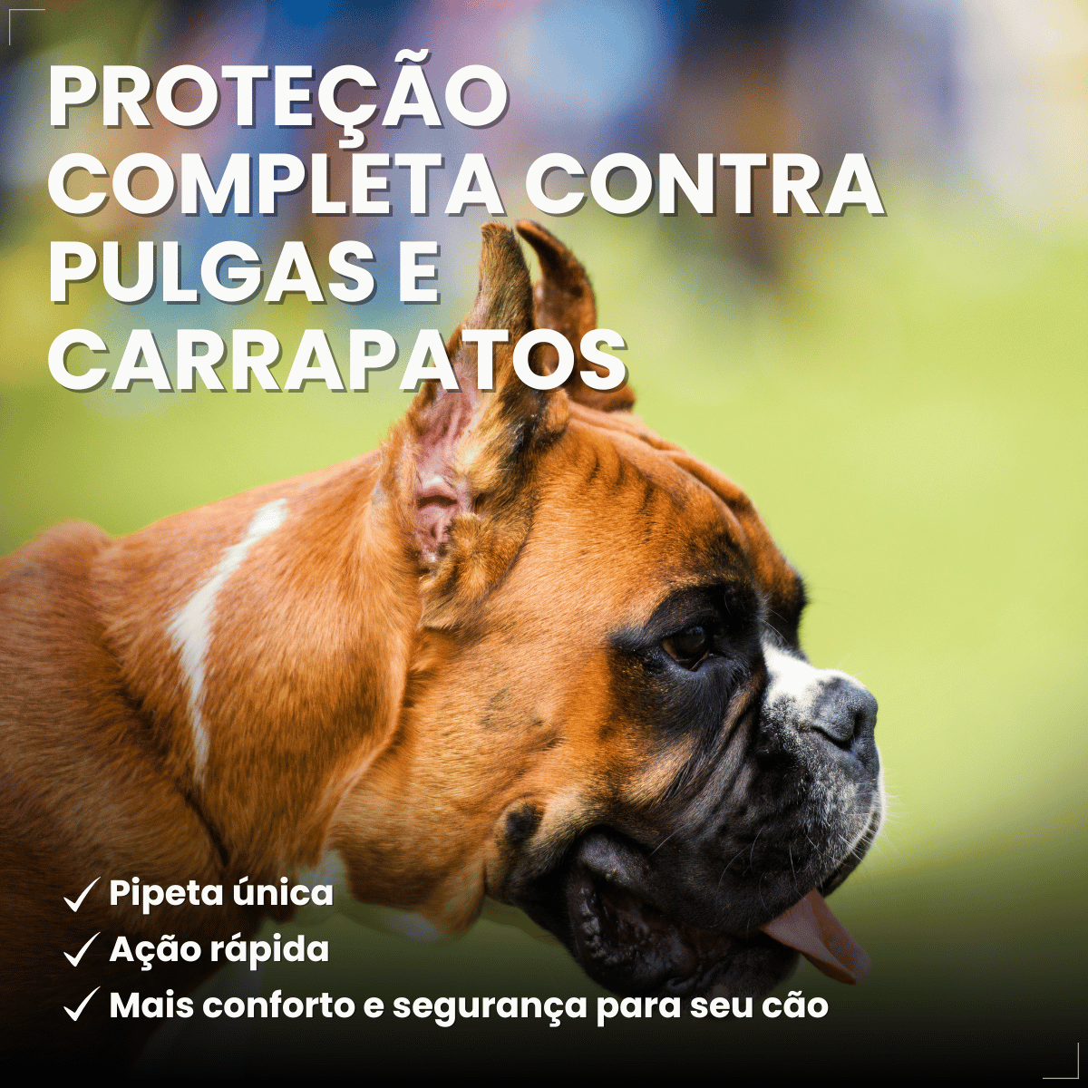 Antipulgas Bravecto Transdermal Cães 20 a 40 kg 1000 mg
