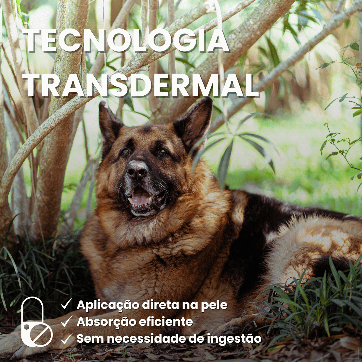 Antipulgas Bravecto Transdermal Cães 20 a 40 kg 1000 mg