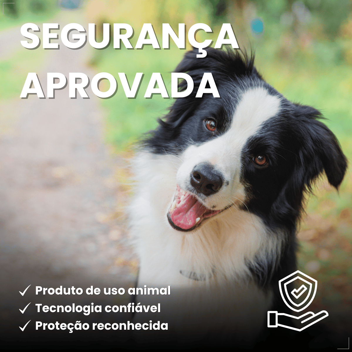 Antipulgas Bravecto Transdermal Cães 20 a 40 kg 1000 mg