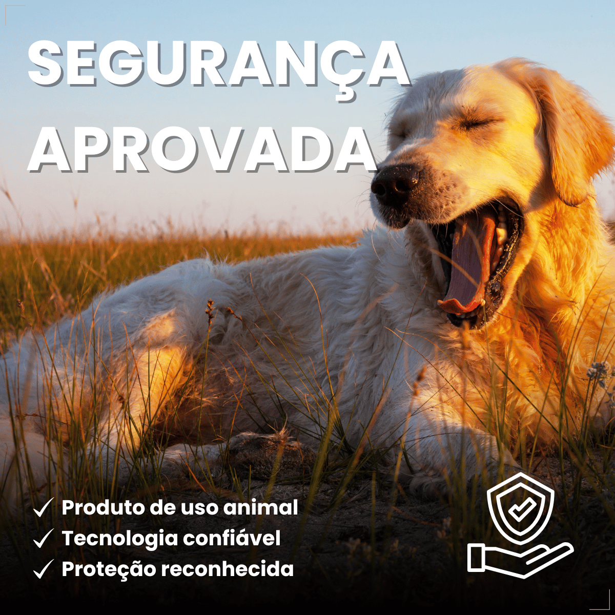 Antipulgas Bravecto Transdermal Cães 40 a 56 kg 1400 mg