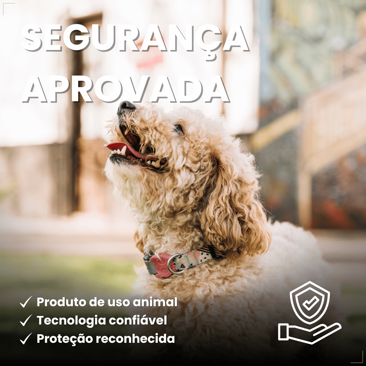 Antipulgas Bravecto Transdermal Cães 10 a 20 kg 500 mg