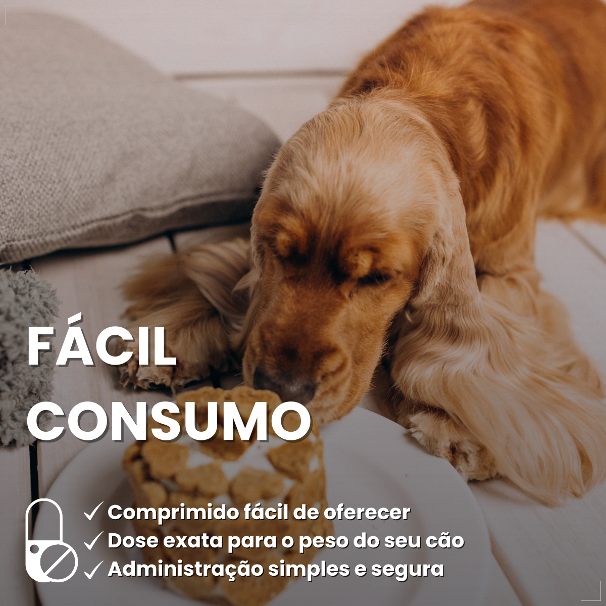 Bravecto Carrapatos Antipulgas Cães De 10 A 20 Kg Msd 500mg