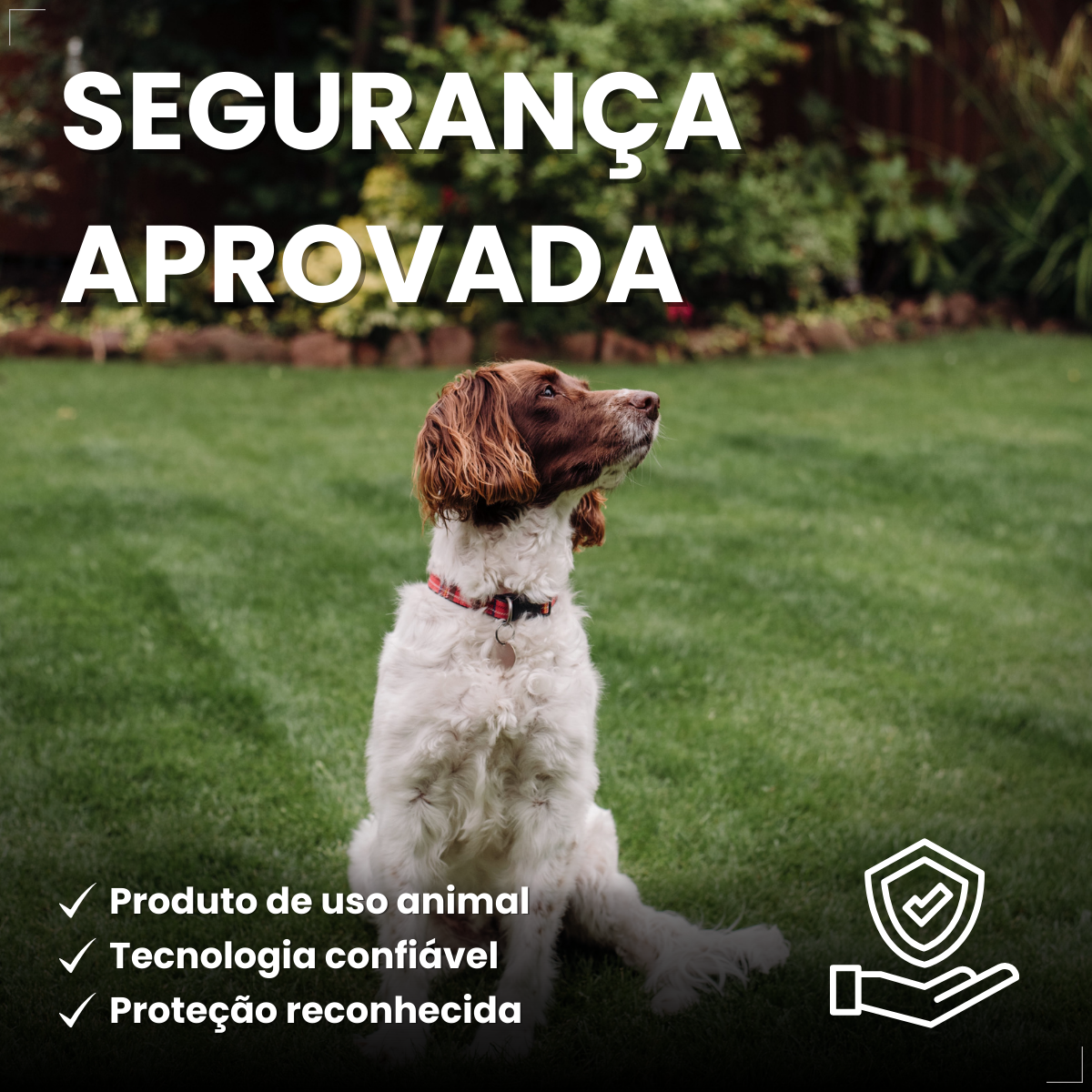 Bravecto Carrapatos Antipulgas Cães De 10 A 20 Kg Msd 500mg