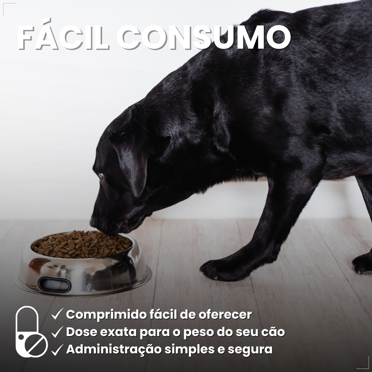 Bravecto Carrapatos Antipulgas Cães De 20 A 40 Kg Msd 1000mg