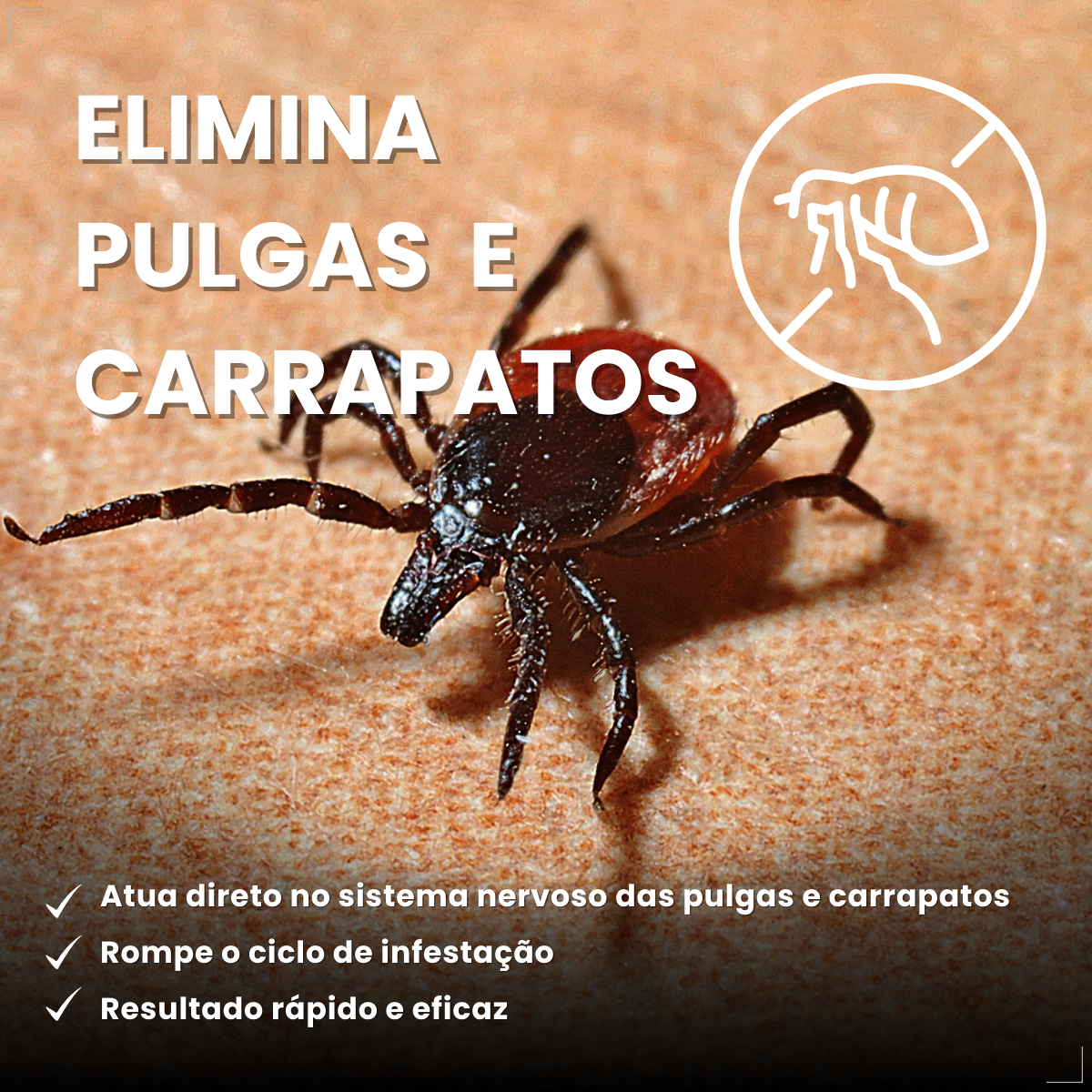 Bravecto Carrapatos Antipulgas Cães De 20 A 40 Kg Msd 1000mg