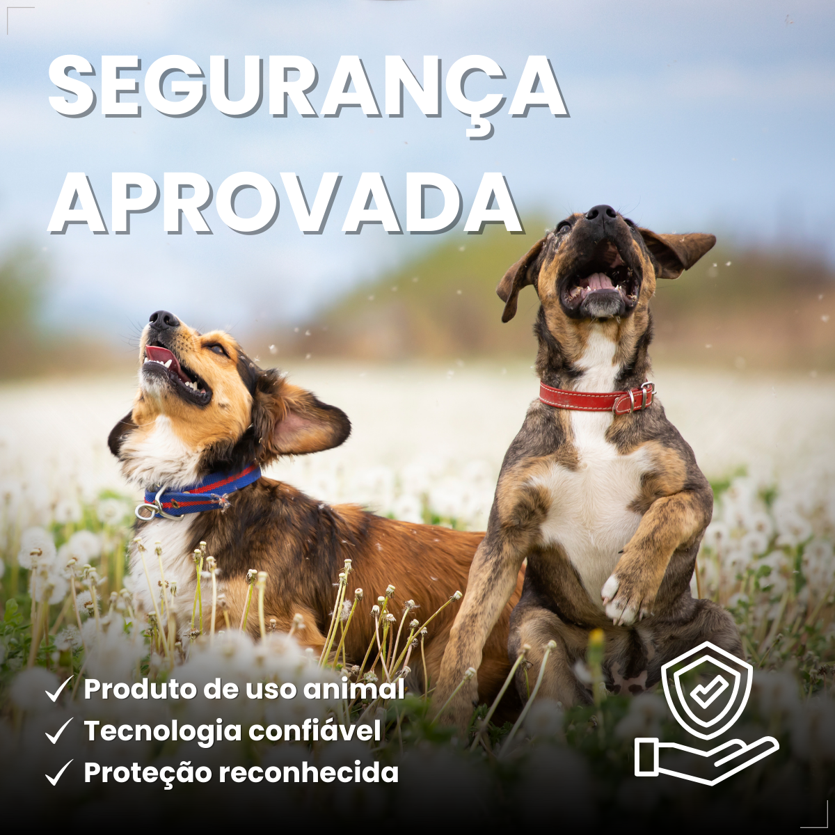 Bravecto Carrapatos Antipulgas Cães De 2,0 A 4,5 Kg Msd 112,5mg