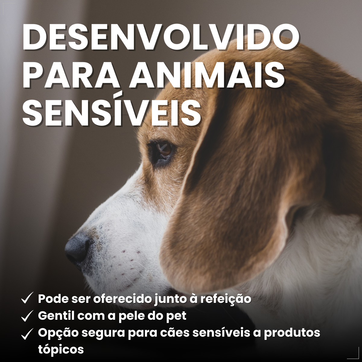 Bravecto Carrapatos Antipulgas Cães De 2,0 A 4,5 Kg Msd 112,5mg