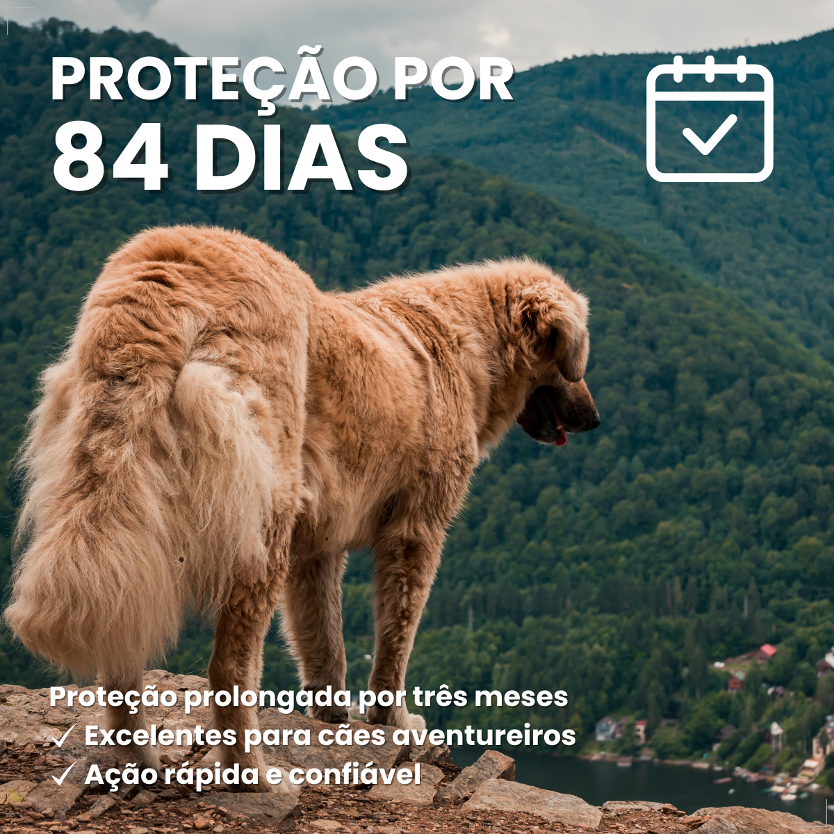 Bravecto Carrapatos Antipulgas Cães De 40 A 56 Kg Msd 1400mg