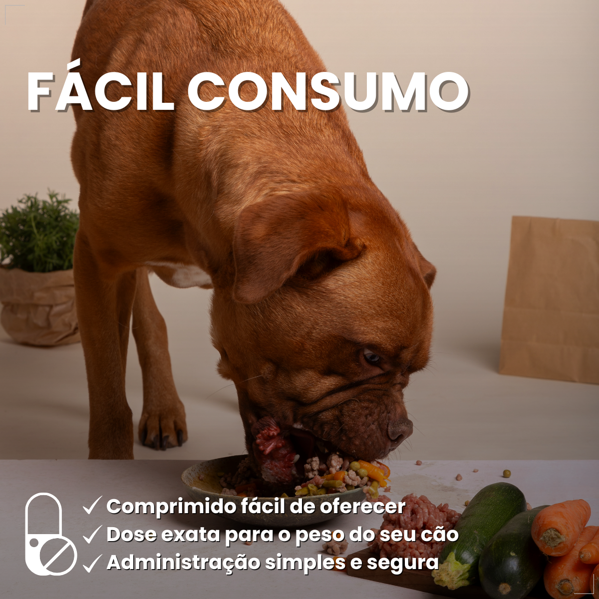 Bravecto Carrapatos Antipulgas Cães De 40 A 56 Kg Msd 1400mg