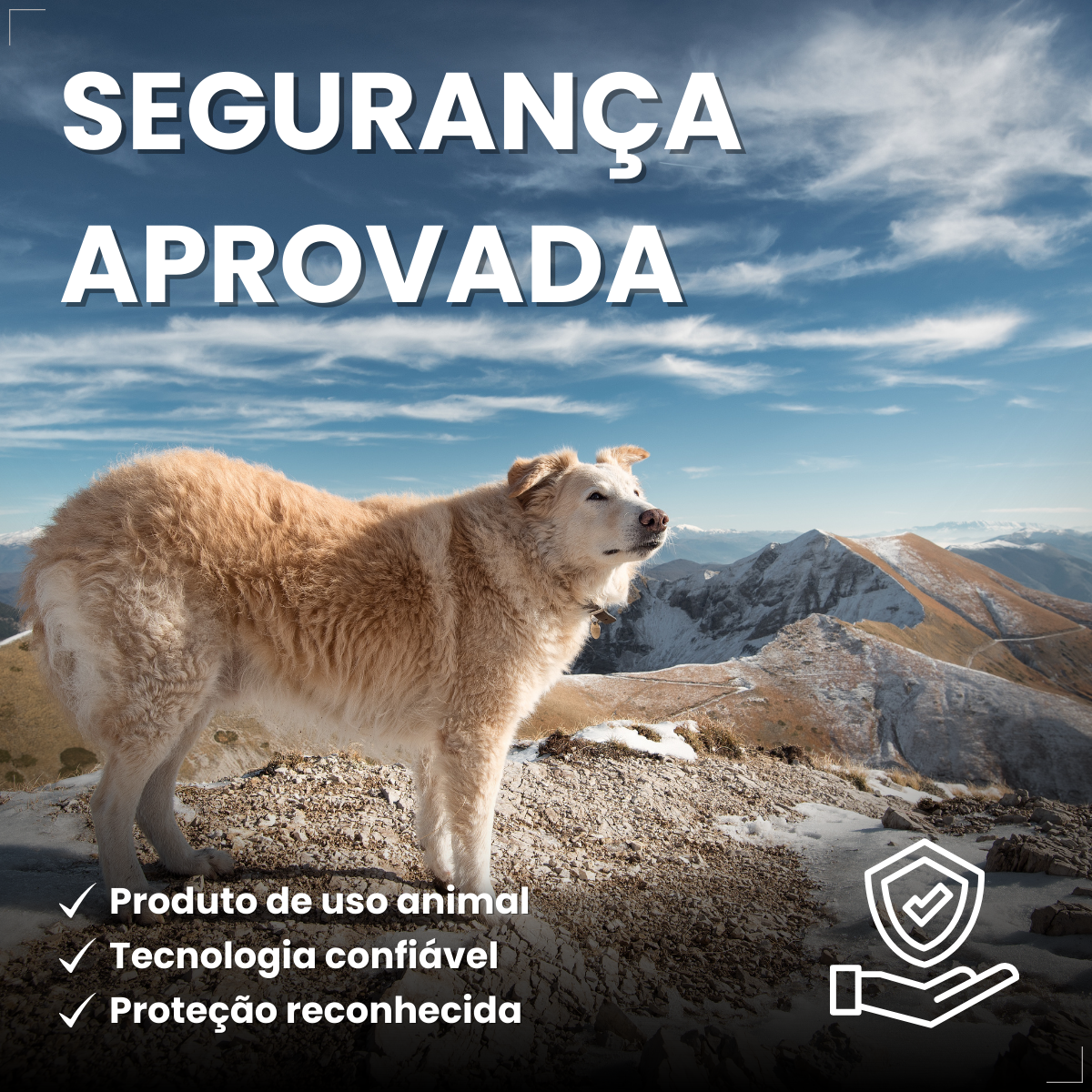 Bravecto Carrapatos Antipulgas Cães De 40 A 56 Kg Msd 1400mg