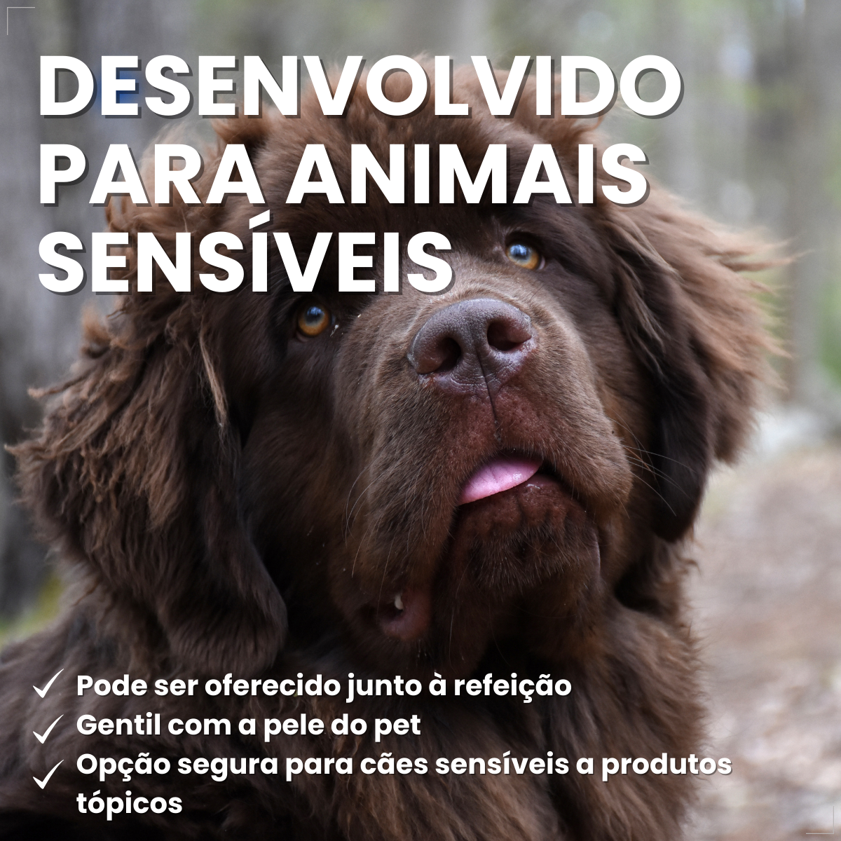 Bravecto Carrapatos Antipulgas Cães De 40 A 56 Kg Msd 1400mg