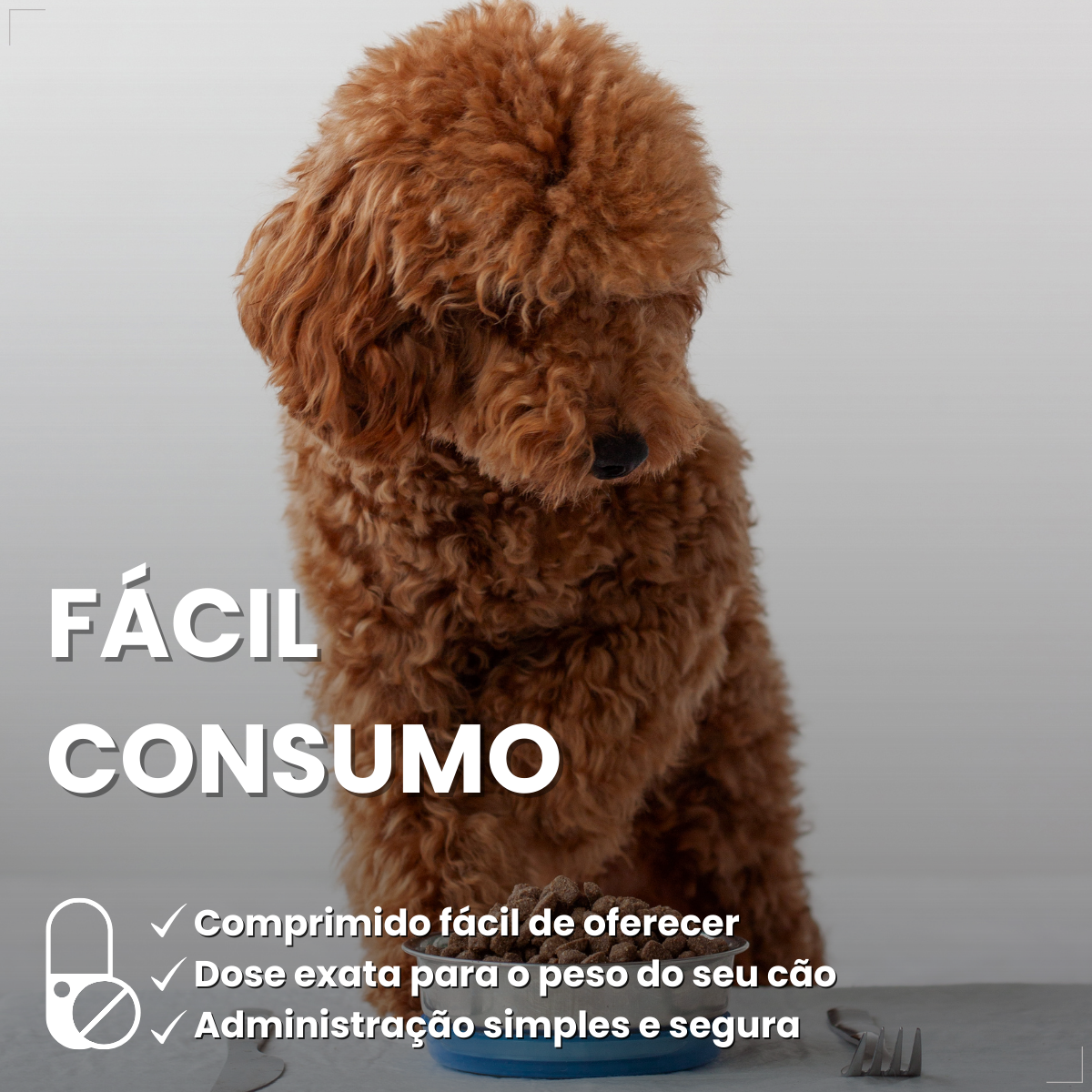 Bravecto Carrapatos Antipulgas Cães De 4,5 A 10 Kg Msd 250mg