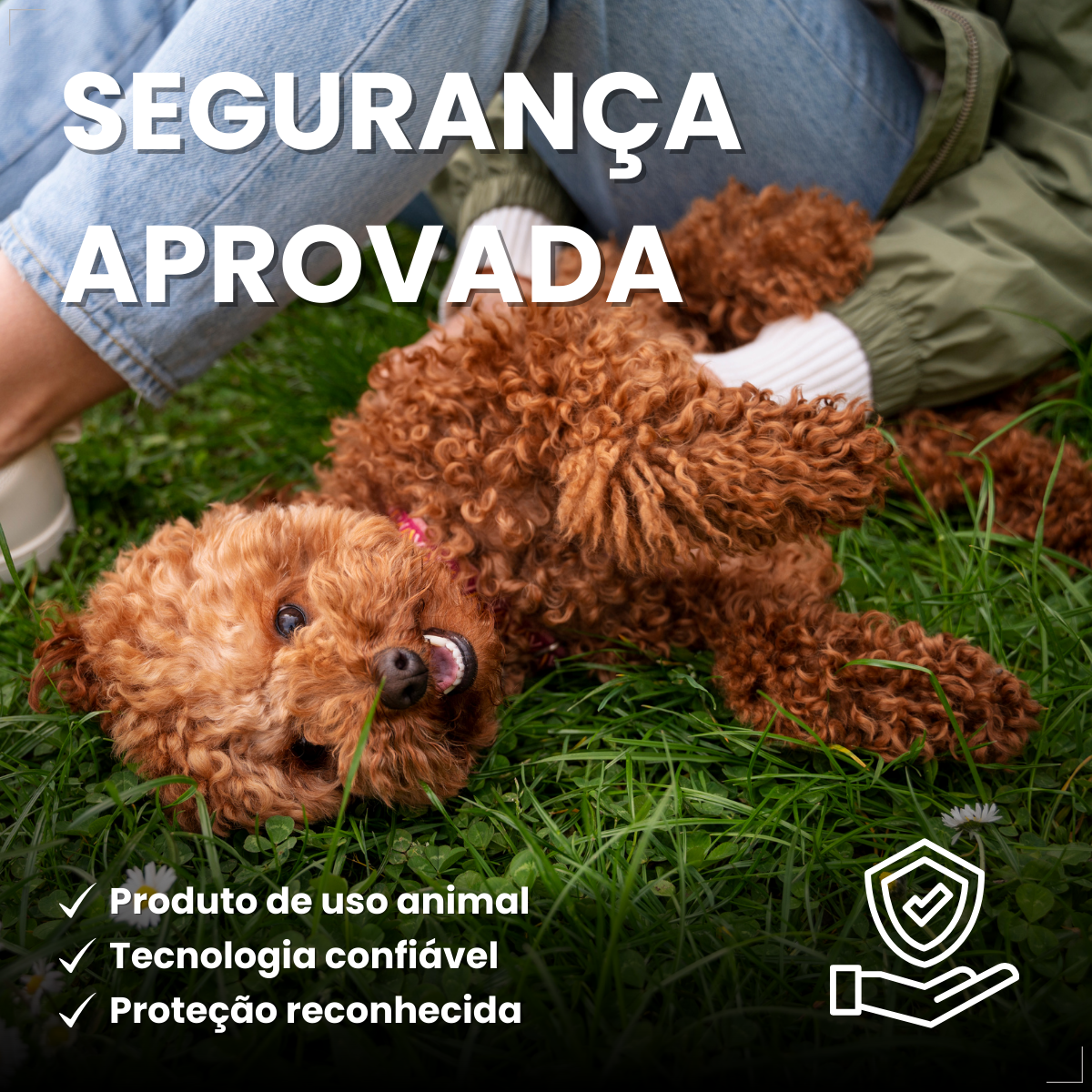 Bravecto Carrapatos Antipulgas Cães De 4,5 A 10 Kg Msd 250mg