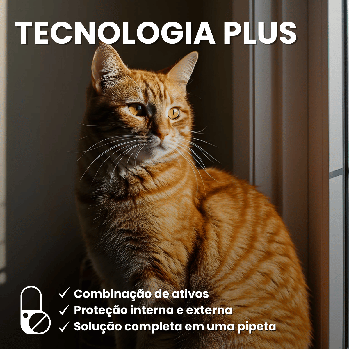 Antipulgas Bravecto Plus Transdermal Gatos 2,8 a 6,25 kg 250mg
