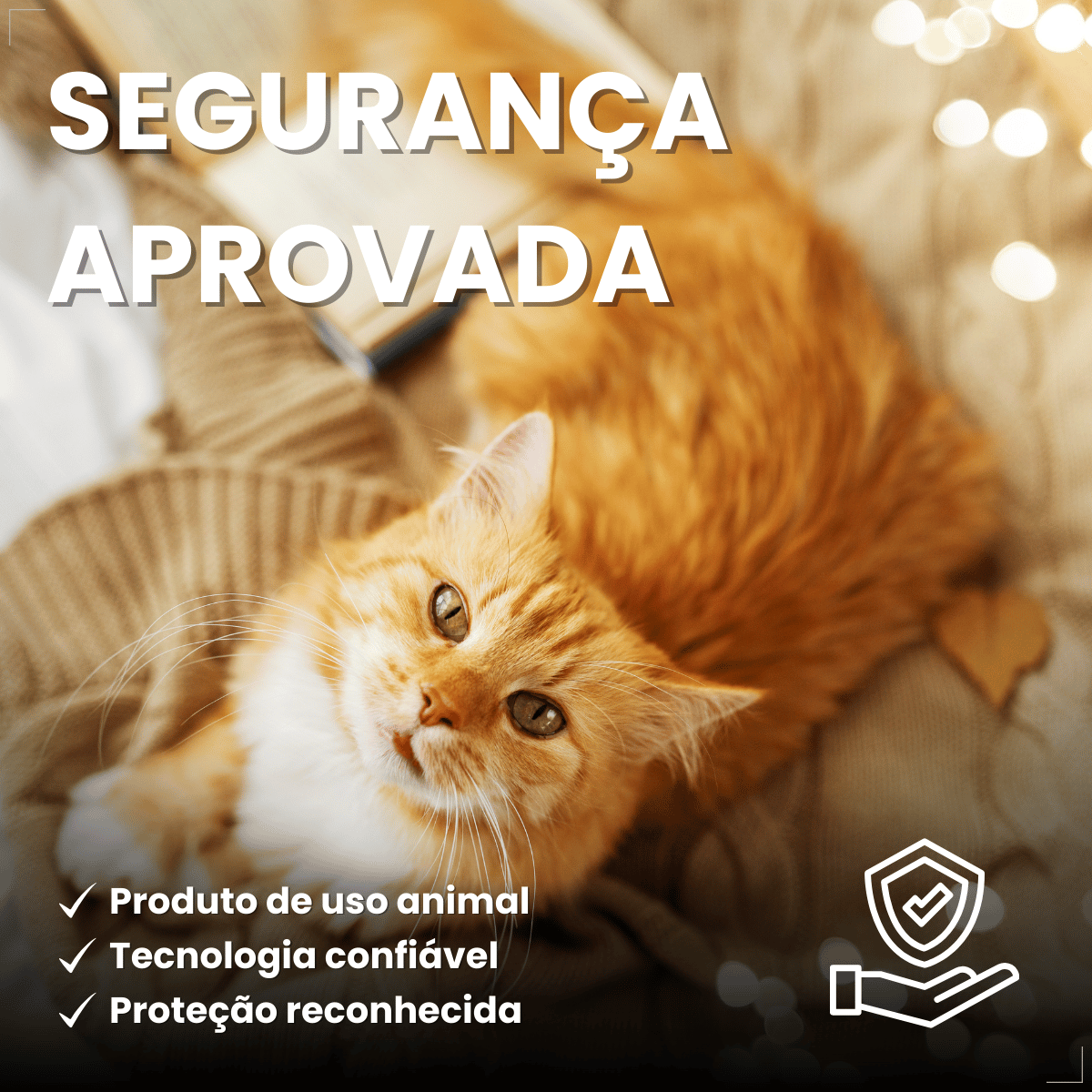 Antipulgas Bravecto Plus Transdermal Gatos 2,8 a 6,25 kg 250mg
