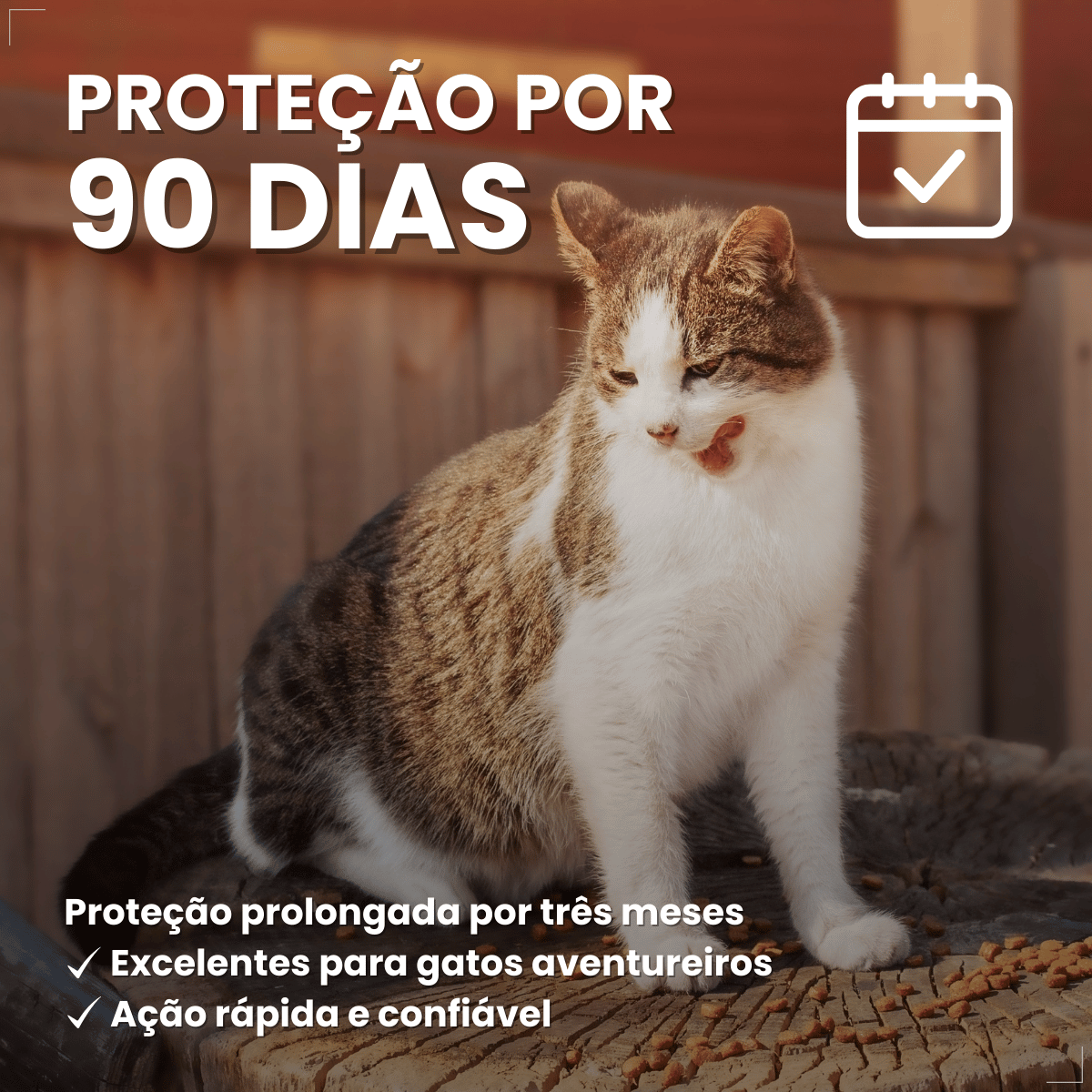 Antipulgas Bravecto Plus Gatos 6,25 a 12,5 kg 500 mg