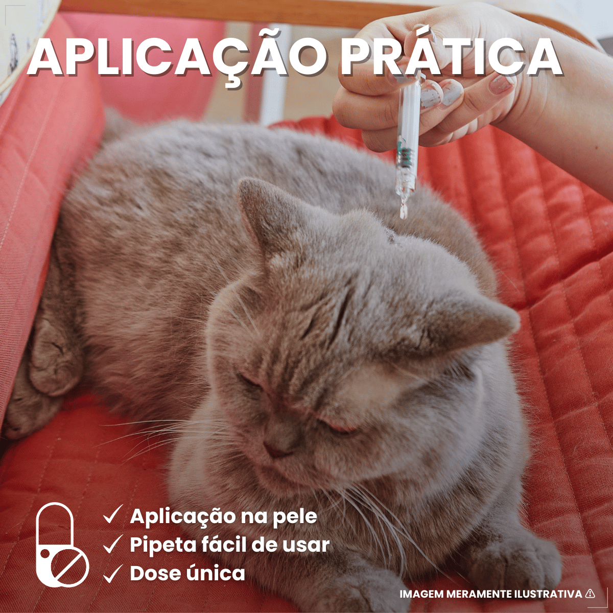 Antipulgas Bravecto Plus Gatos 6,25 a 12,5 kg 500 mg