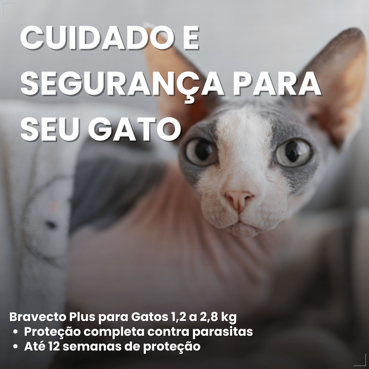 Antipulgas Bravecto Plus para Gatos 1,2 a 2,8 kg 0,4 ml