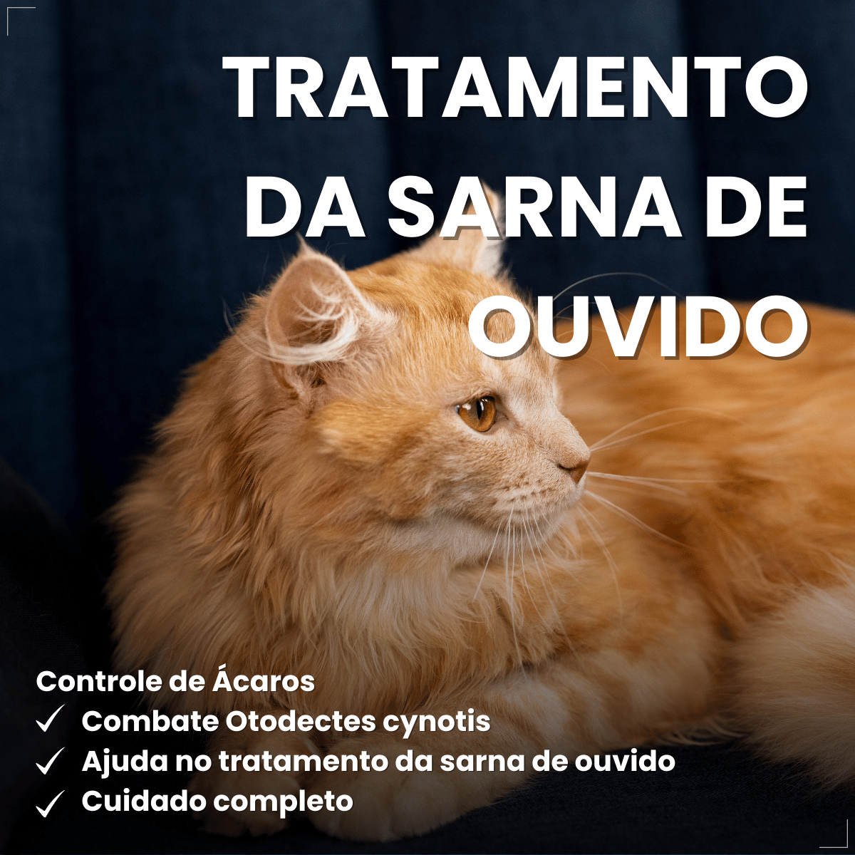 Antipulgas Bravecto Plus para Gatos 1,2 a 2,8 kg 0,4 ml