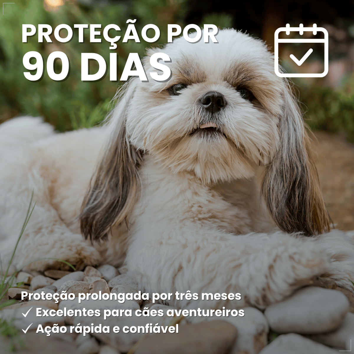 Antipulgas Bravecto Transdermal Cães 4,5 a 10 kg 250 mg