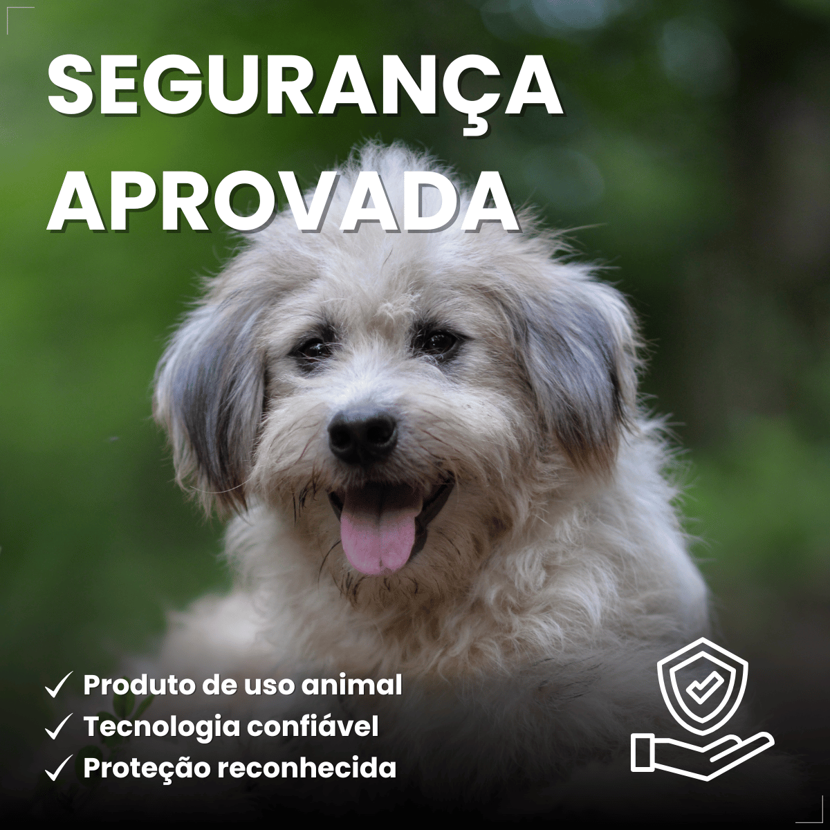 Antipulgas Bravecto Transdermal Cães 4,5 a 10 kg 250 mg