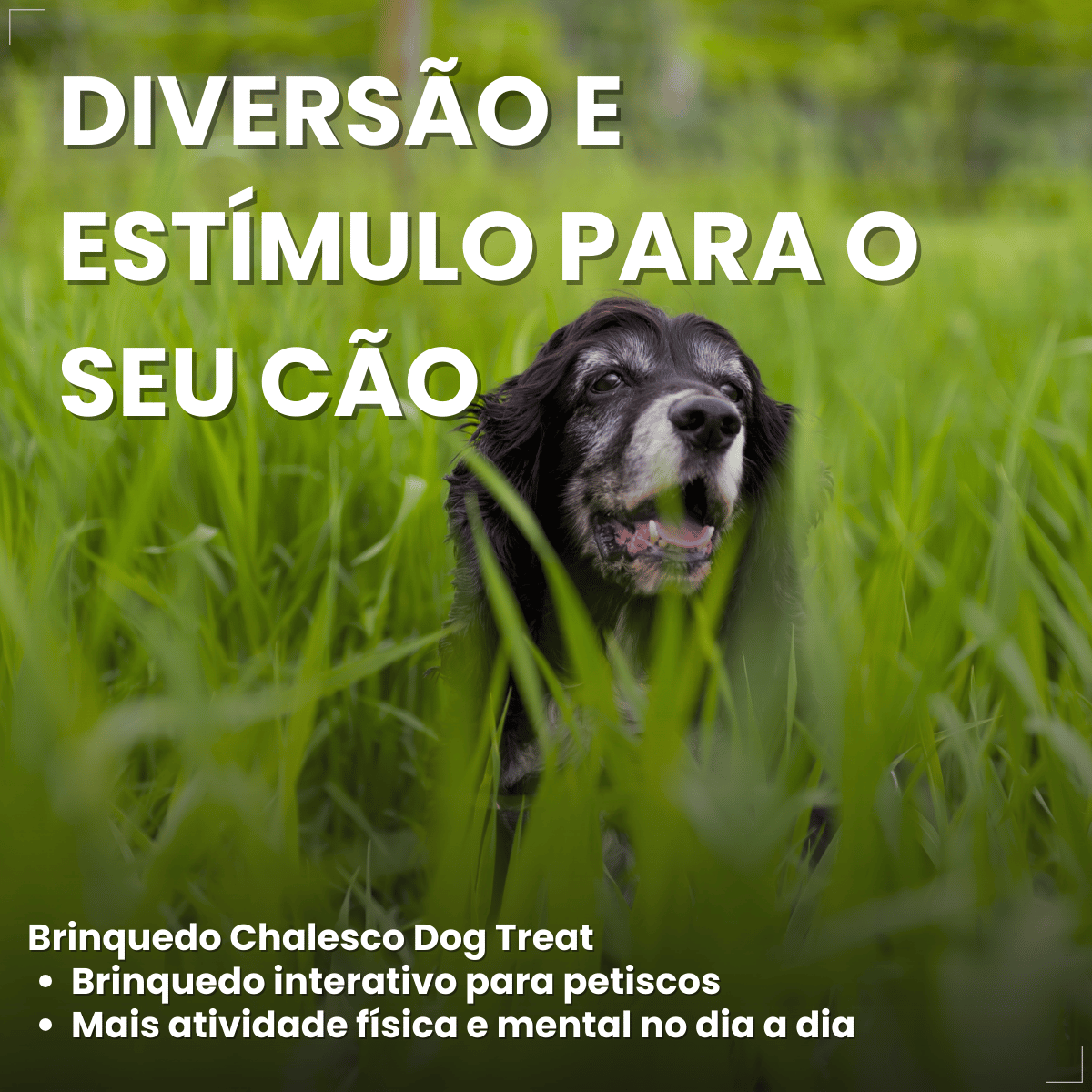 Brinquedo Chalesco Dog Treat para Cães