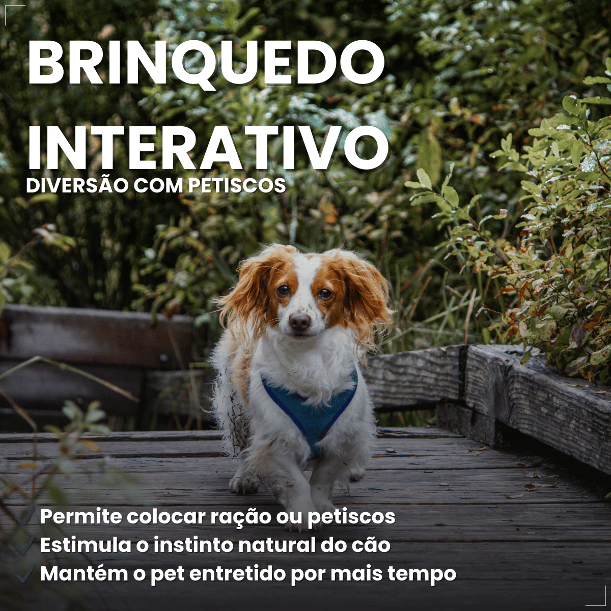 Brinquedo Chalesco Dog Treat para Cães
