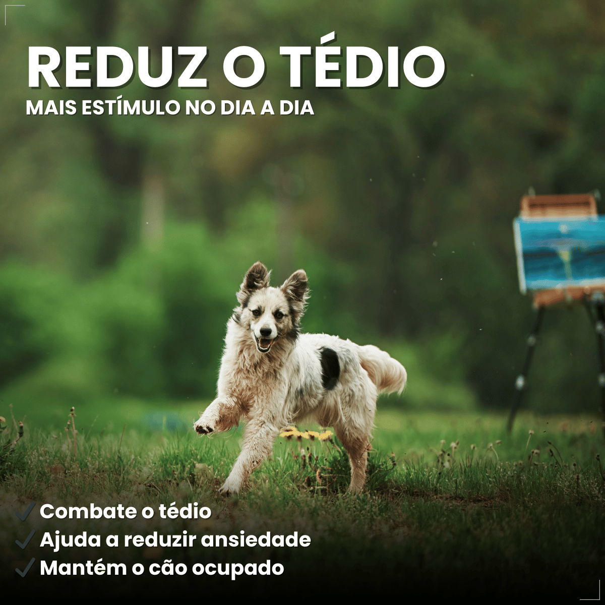 Brinquedo Chalesco Dog Treat para Cães