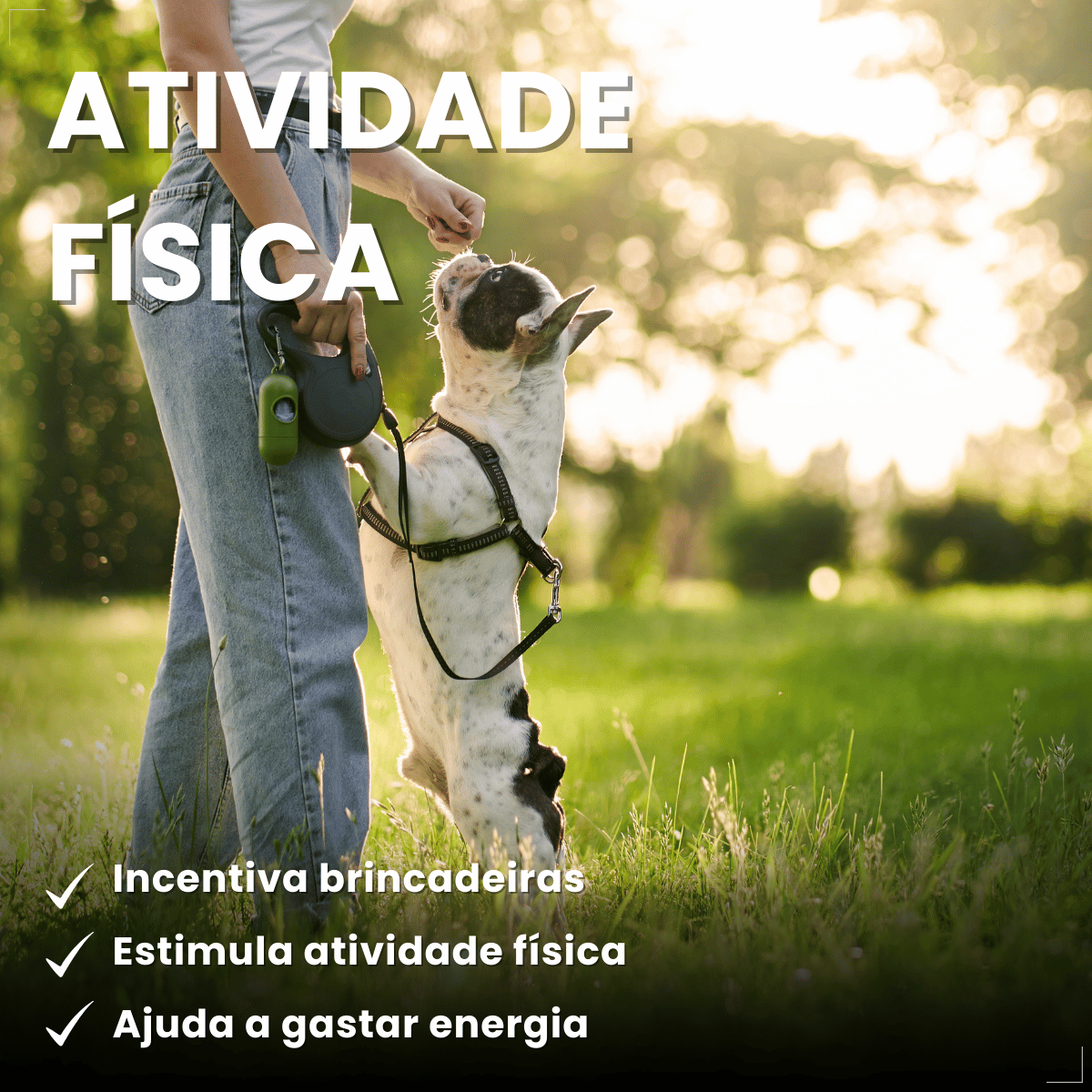 Brinquedo Chalesco Dog Treat para Cães